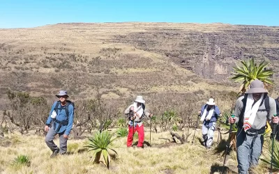 7 Days Simien Mountains Trekking Tour from Gondar