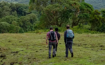8 Days Tour of Harar & Bale Mountains National Park Hiking Adventure