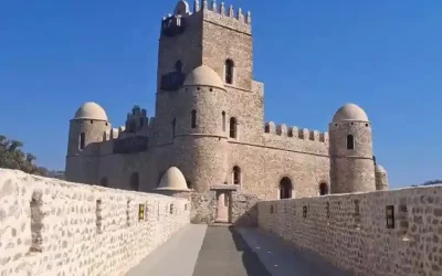Gondar City & Fasil Castle Day Tour