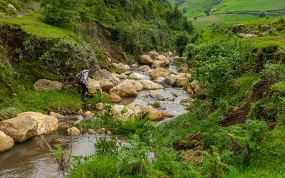 Full Day Hiking Tour of Menagesha Suba Forest from Addis Ababa