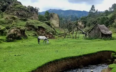 Full Day Trip to Wonchi Crater Lake: Horse-back Riding and Trekking Tours