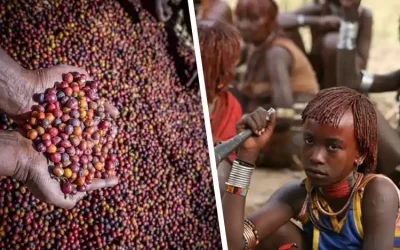 Western Ethiopia Coffee and Southern Ethiopia Tribes Tour 10 Days